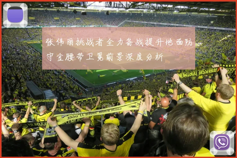 张伟丽挑战者全力备战提升地面防守金腰带卫冕前景深度分析
